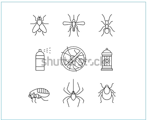 صورة مكافحة حشرات
